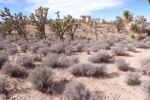 Affordable buildable land Arizona, $10,200 total, Meadview area - photo 14