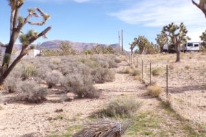 Owner-financed Arizona lot near Meadview, 1.25 acre escape property - photo 13