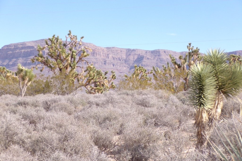 Flat terrain Arizona land with mountain view, camping allowed - photo 12