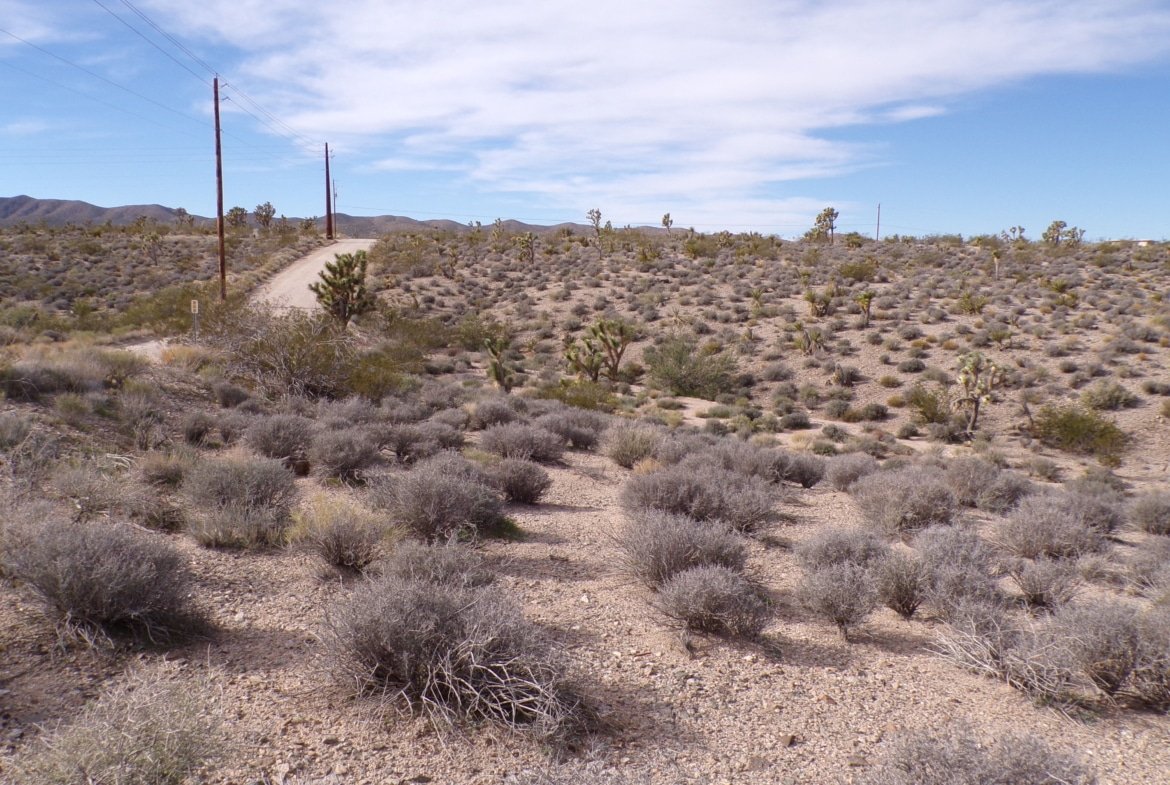 Live Your Way! 1.25 Acres – Build a Home or Bring Your RV!