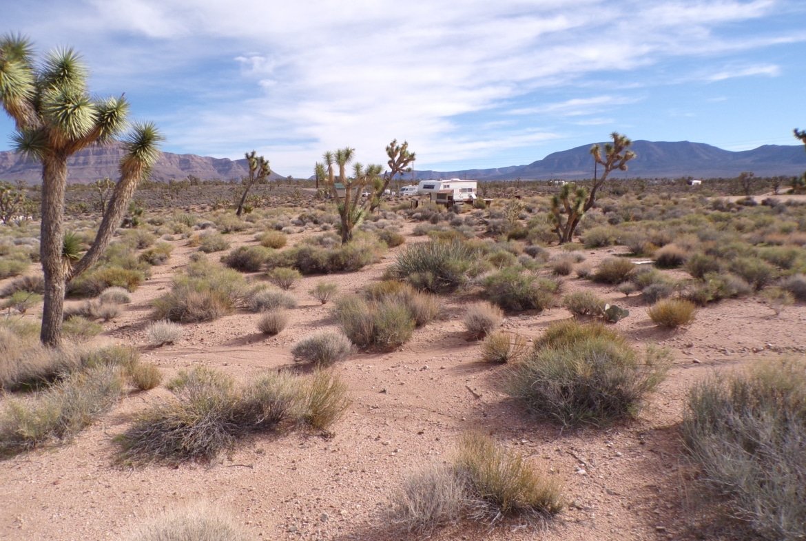 1.25 AC in AZ — Build, RV, or Bring Your Mobile Home!