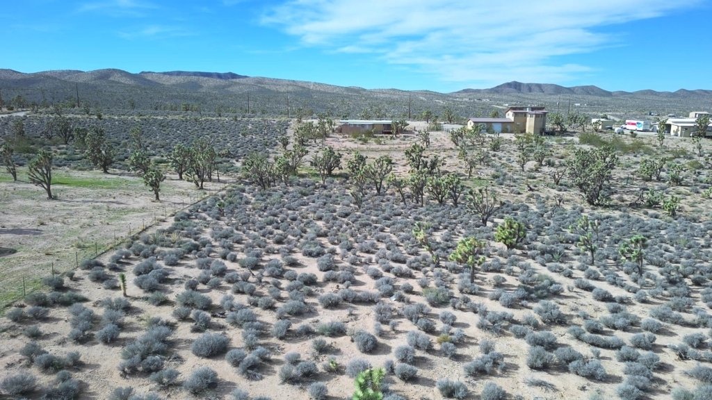 Arizona grassland lot near Meadview, owner financing available - photo 10