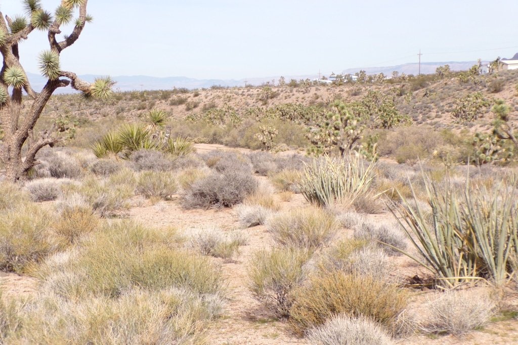 1.25 acre Arizona property with mountain views, low down payment available - photo 12
