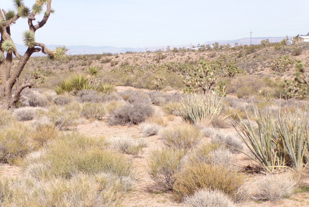 1.25 AC in AZ — Build, RV, or Bring Your Mobile Home!
