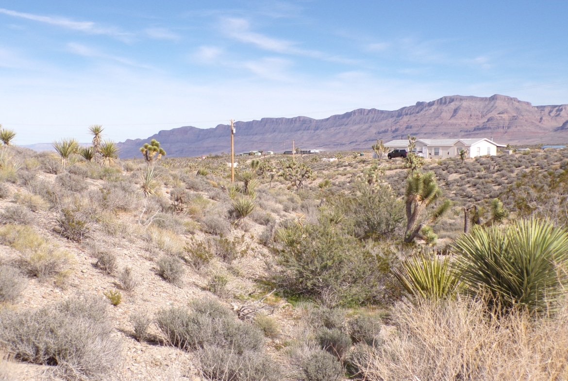 Live Your Way! 1.25 Acres – Build a Home or Bring Your RV!