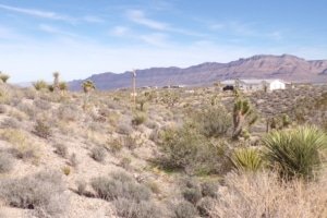Arizona land with mountain views near Meadview - RV/camping allowed - photo 12