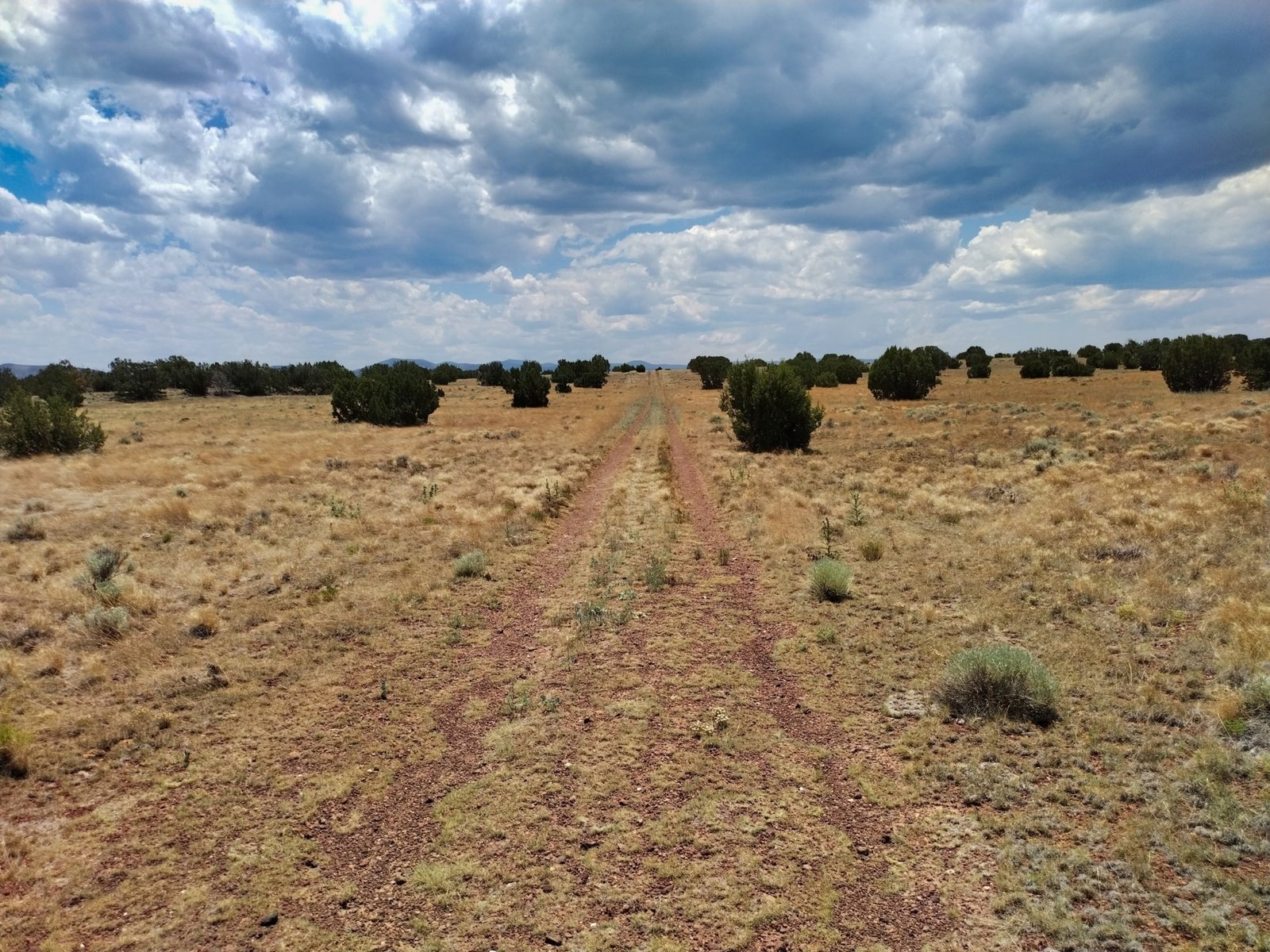 1 Road 1.05 Acres Buildable in Concho for Sale