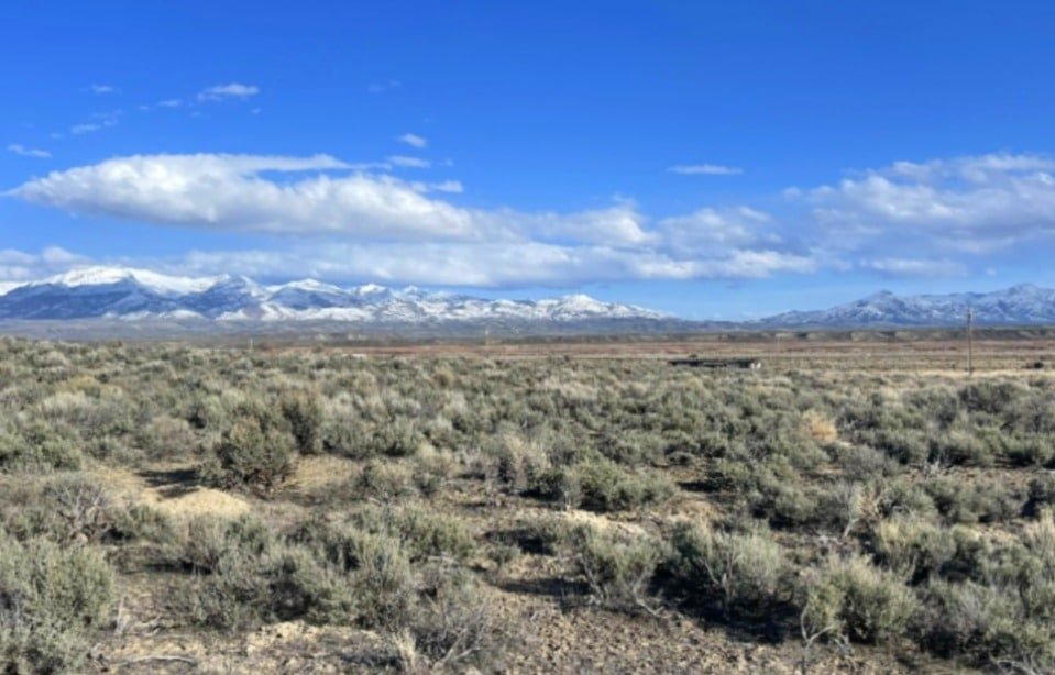 Power at the street!!! Ready for your perfect homestead. 1.13 Acres in Elko County