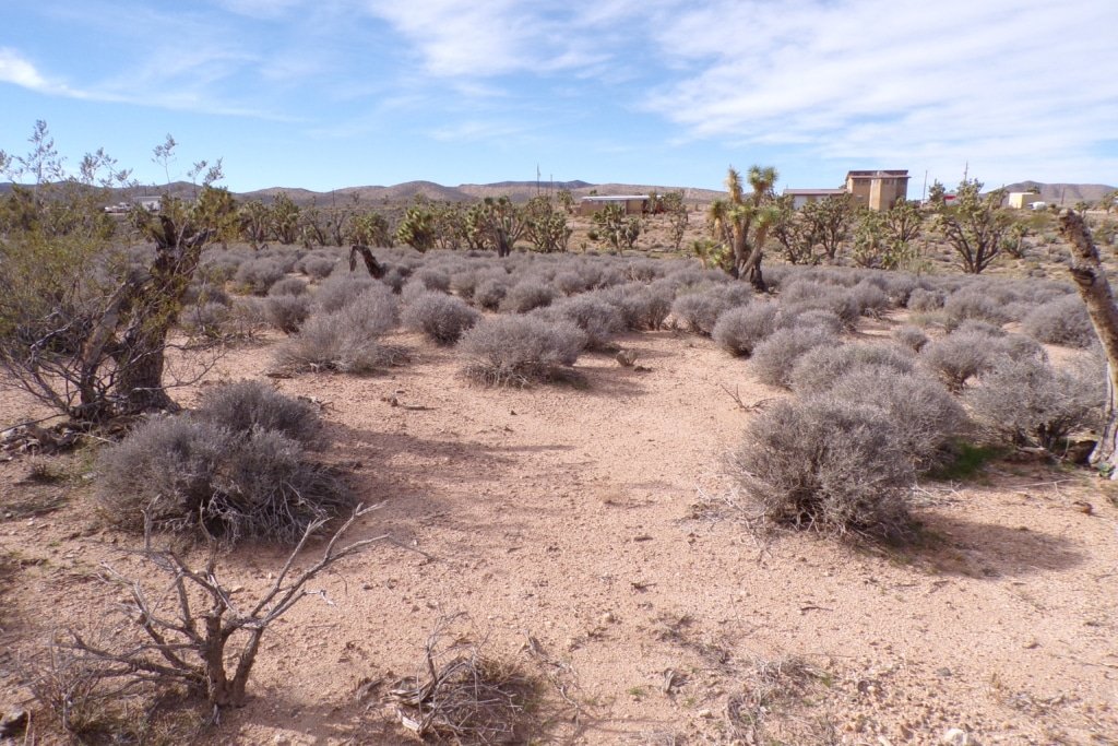 Flat buildable lot Arizona with mountain view, Meadview location - photo 8
