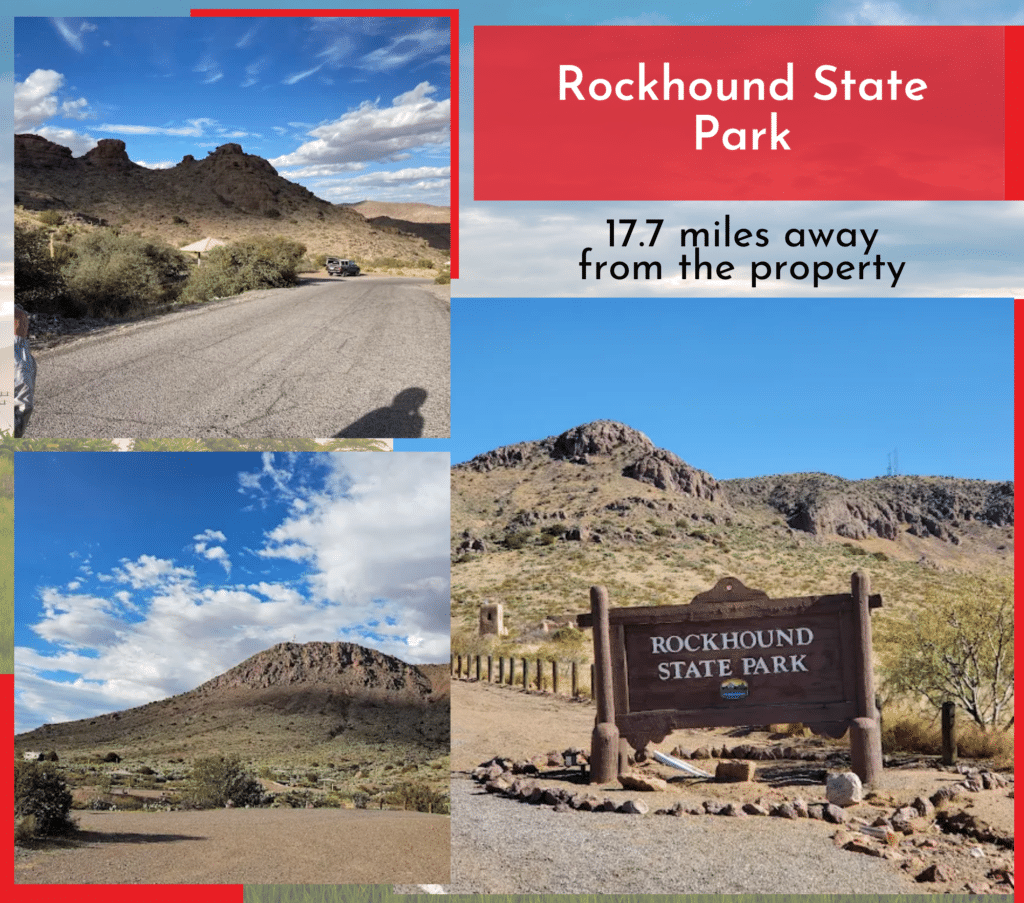 1-acre owner-financed lot in Deming, NM grassland - photo 10