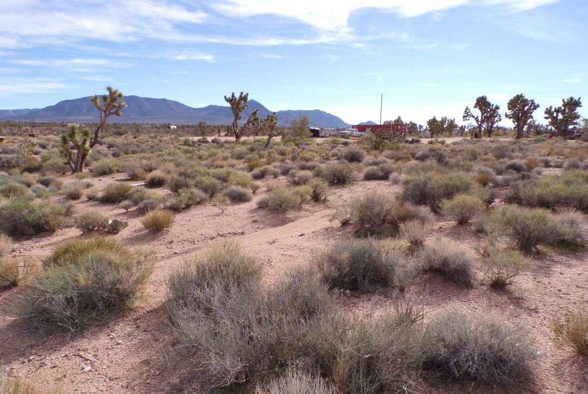 1.25 AC in AZ — Build, RV, or Bring Your Mobile Home!
