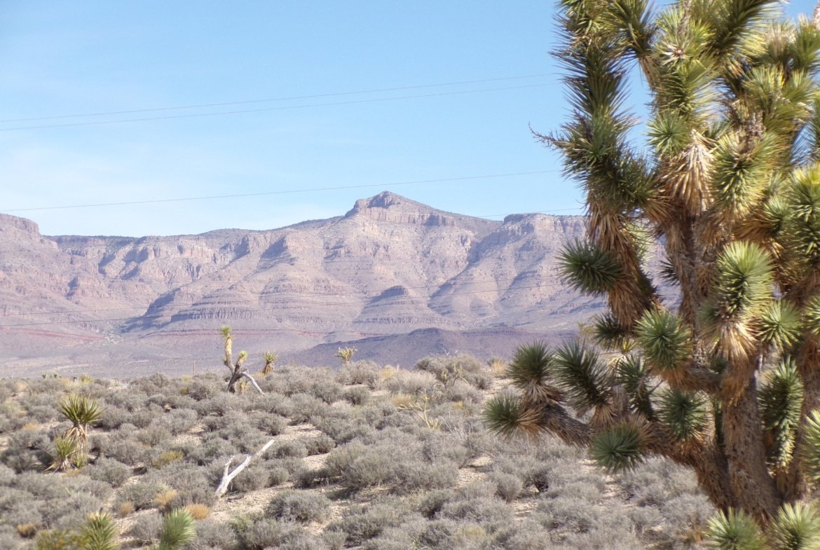 Live Your Way! 1.25 Acres – Build a Home or Bring Your RV!