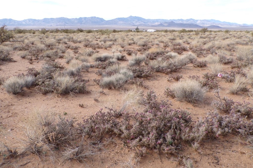Owner-financed land with camping use allowed - Kingman, AZ - photo 9