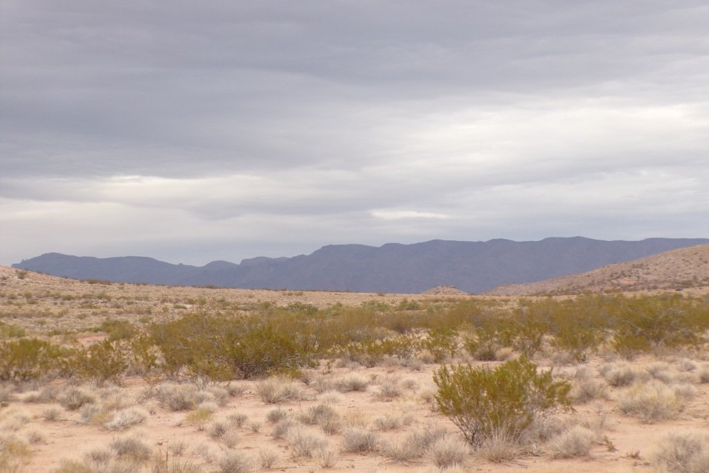 RV-Friendly Lot – 0.28 Acre to Build Your Manufactured Home!