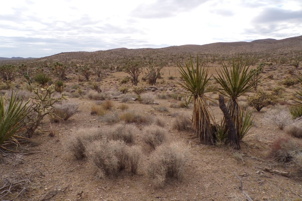 Owner-financed 1 acre lot Dolan Springs AZ with mountain views - photo 2