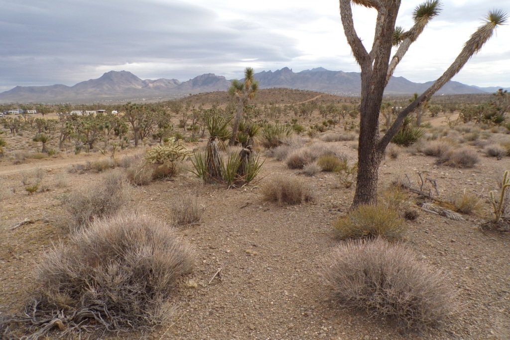 1 acre grassland property Dolan Springs Arizona RV camping allowed - photo 3