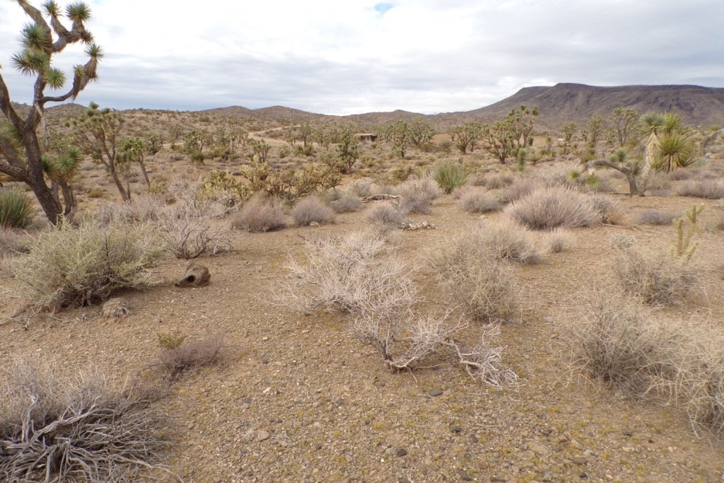Buildable 1 acre land listing Dolan Springs AZ owner financing - photo 4