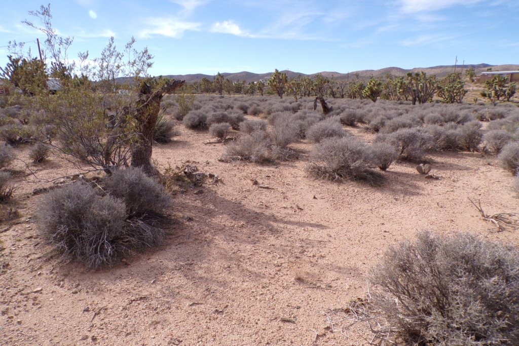 1.25 acre Arizona lot with mountain views, buildable land - photo 5