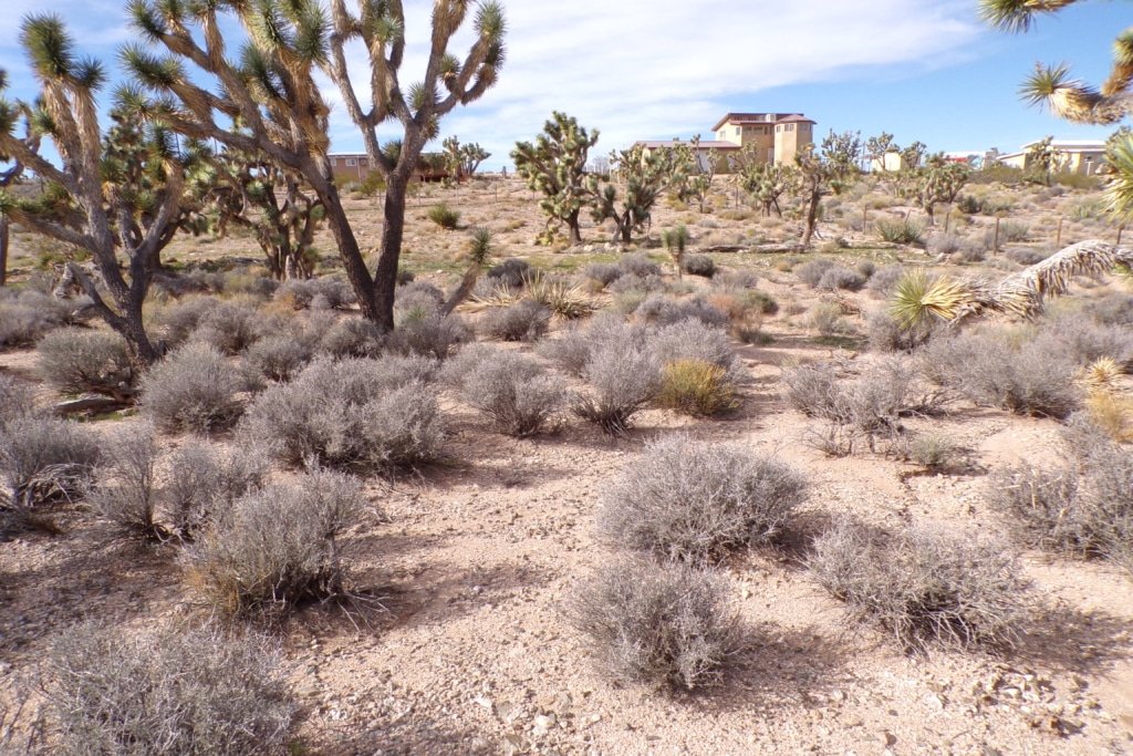 Flat terrain Arizona lot, $200/month owner financing, Meadview area - photo 2