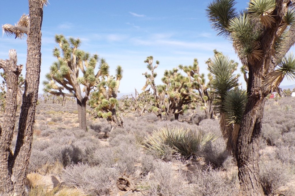 Affordable Arizona land listing, $10,200 cash price near Meadview - photo 4