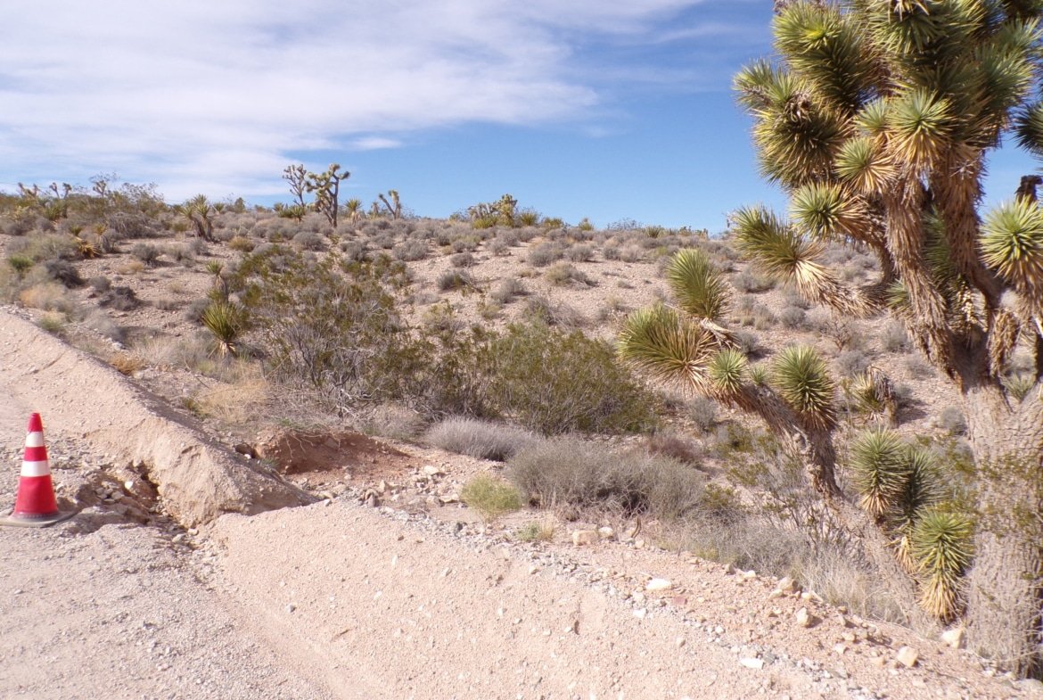 Live Your Way! 1.25 Acres – Build a Home or Bring Your RV!