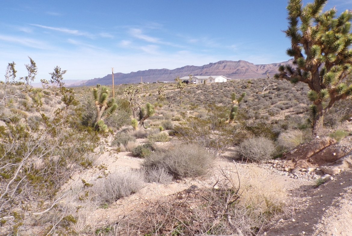 Live Your Way! 1.25 Acres – Build a Home or Bring Your RV!