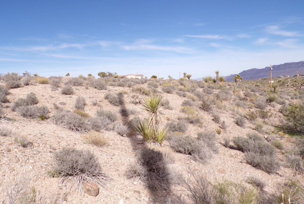 Live Your Way! 1.25 Acres – Build a Home or Bring Your RV!