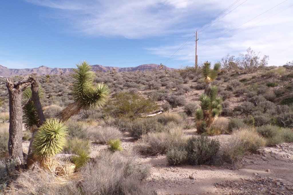 Live Your Way! 1.25 Acres – Build a Home or Bring Your RV!