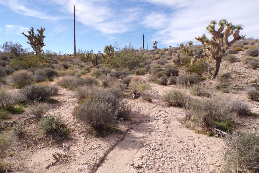 Flat terrain lot in Meadview, Arizona - $200/month owner financing - photo 2