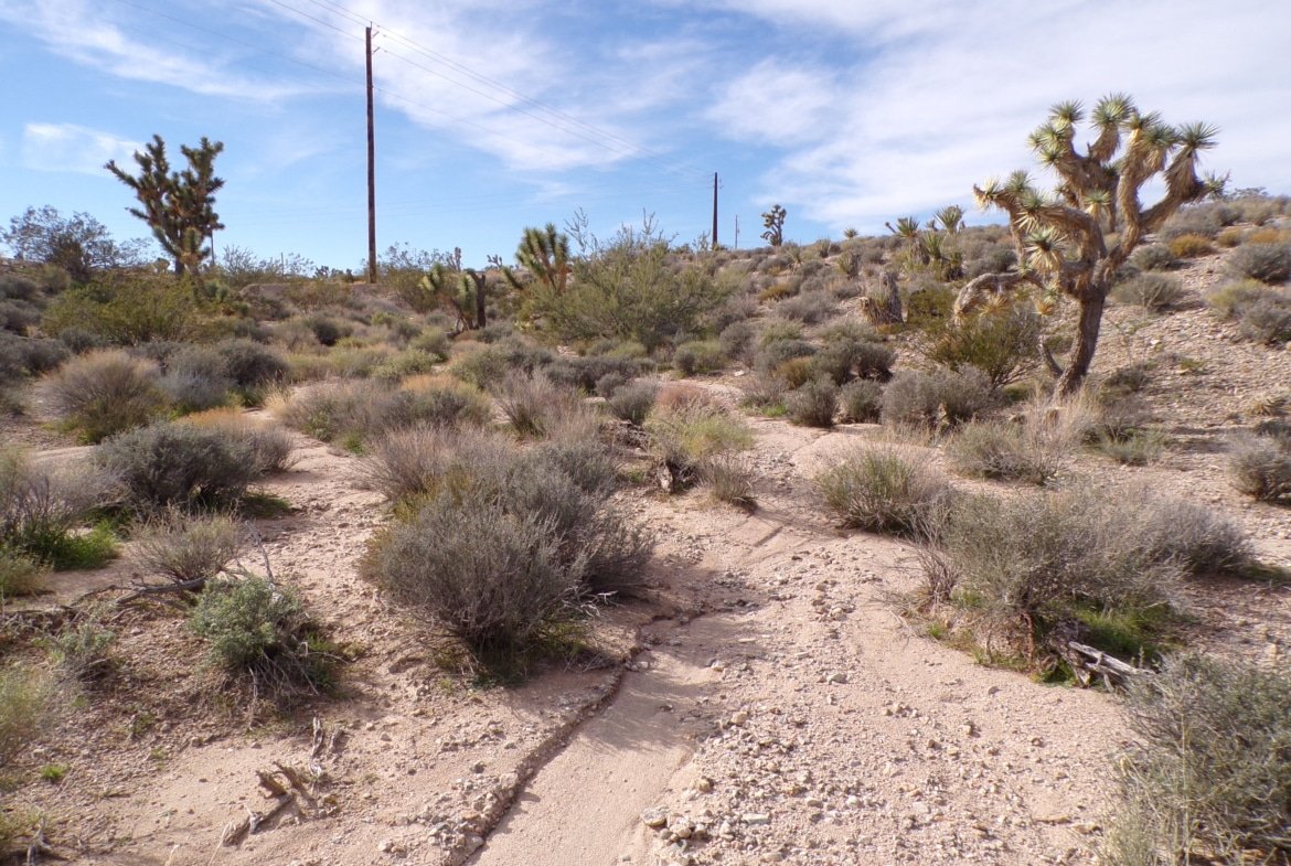 Live Your Way! 1.25 Acres – Build a Home or Bring Your RV!