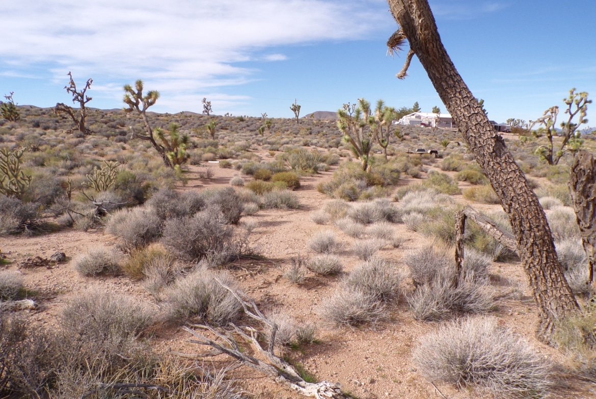 1.25 AC in AZ — Build, RV, or Bring Your Mobile Home!