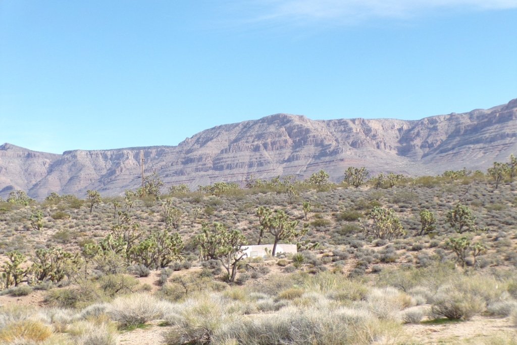 Meadview area grassland property, 1.25 acres, owner-financed - photo 7