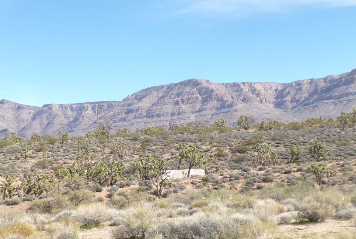 1.25 AC in AZ — Build, RV, or Bring Your Mobile Home!