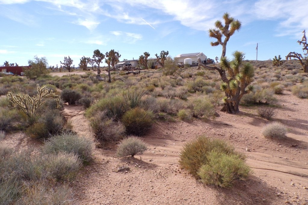 1.25 acre RV-friendly land in Arizona for sale with easy terms - photo 6
