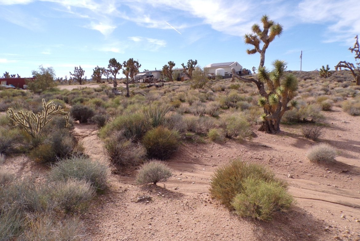 1.25 AC in AZ — Build, RV, or Bring Your Mobile Home!