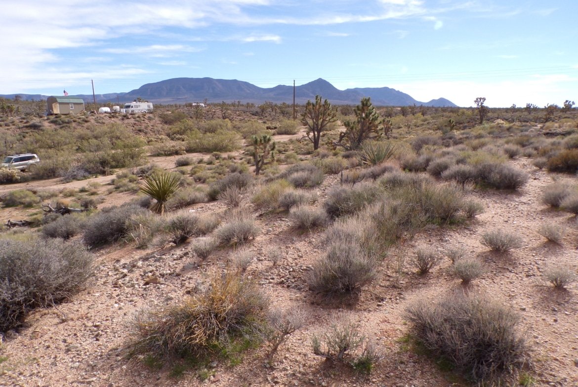 1.25 AC in AZ — Build, RV, or Bring Your Mobile Home!