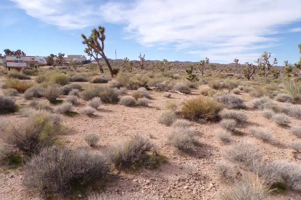 1.25 AC in AZ — Build, RV, or Bring Your Mobile Home!