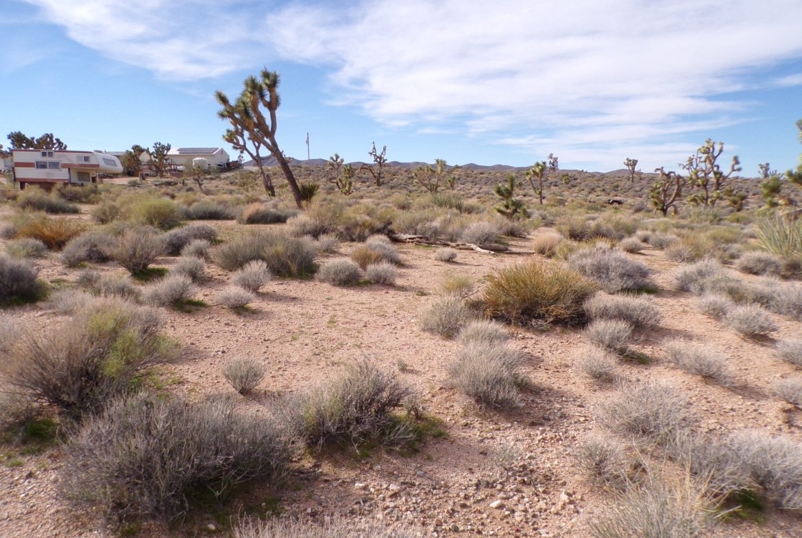 1.25 AC in AZ — Build, RV, or Bring Your Mobile Home!