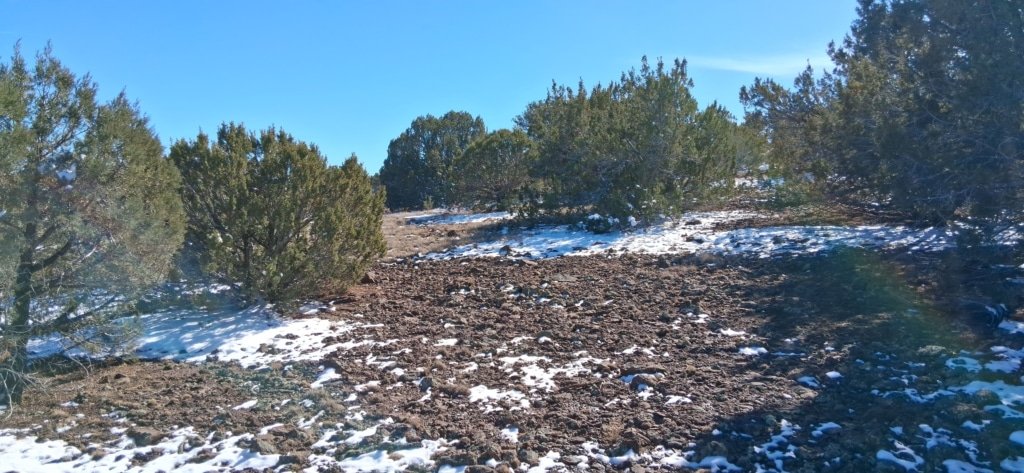 1.15 acre buildable land for sale in Show Low Pines, Concho, Arizona - $10,000