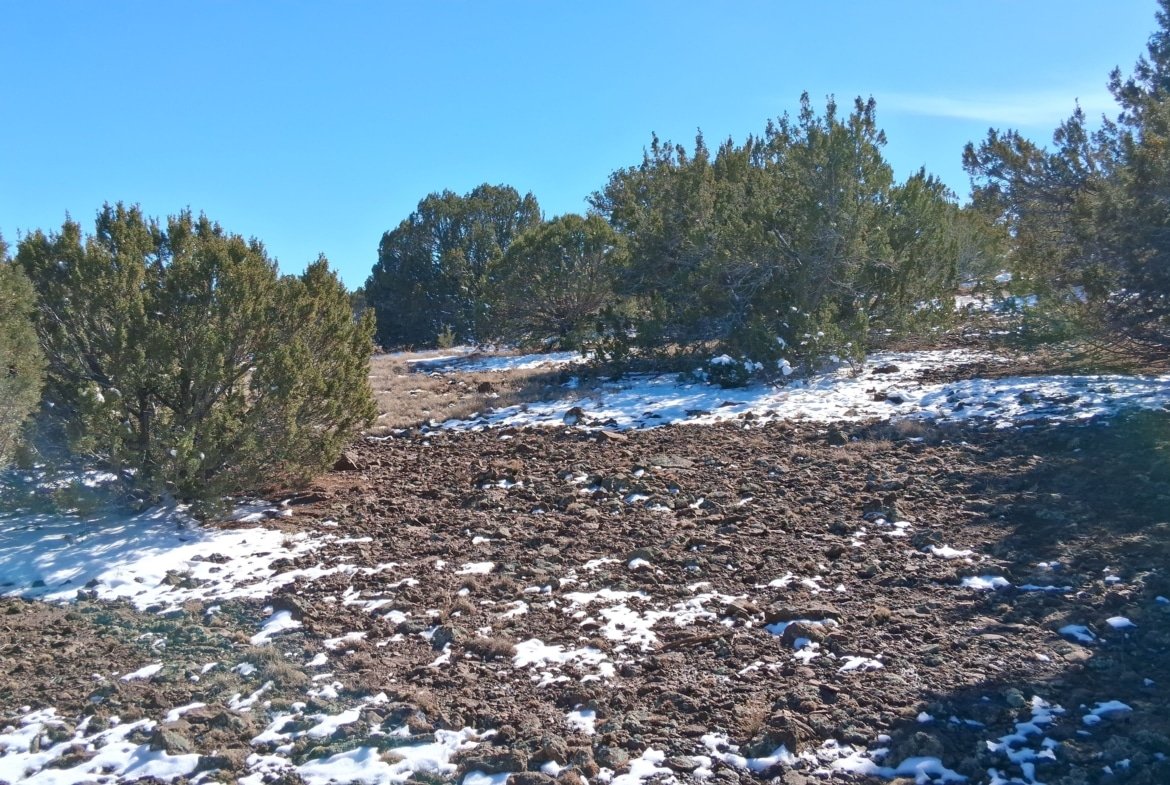 1.15 Acres of Land, Power, Trees and Views! Show Low Pines Subdivision