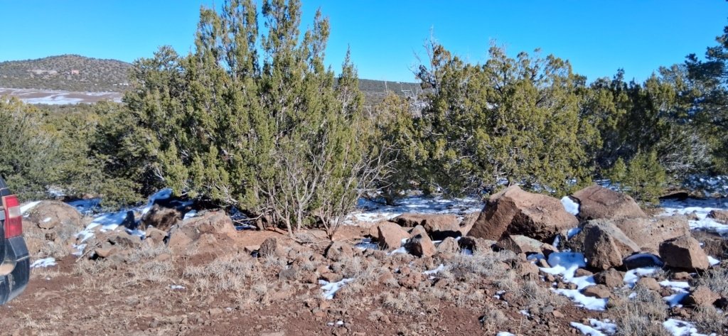 Mountain view lot in Concho, Arizona - 1.15 acres with power and elevation