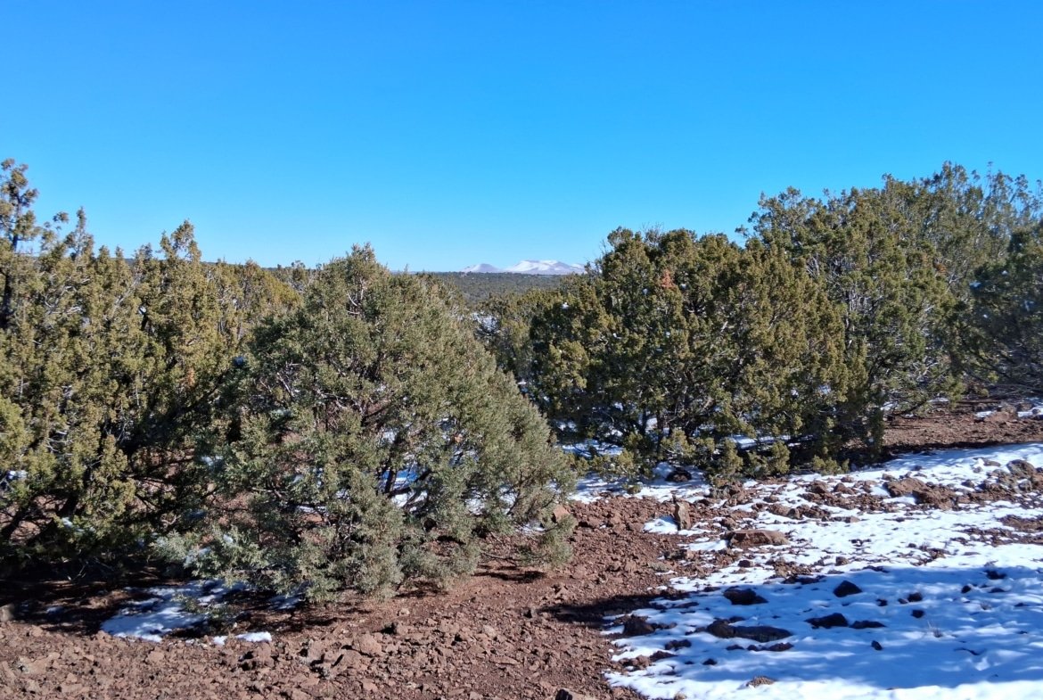 1.15 Acres of Land, Power, Trees and Views! Show Low Pines Subdivision