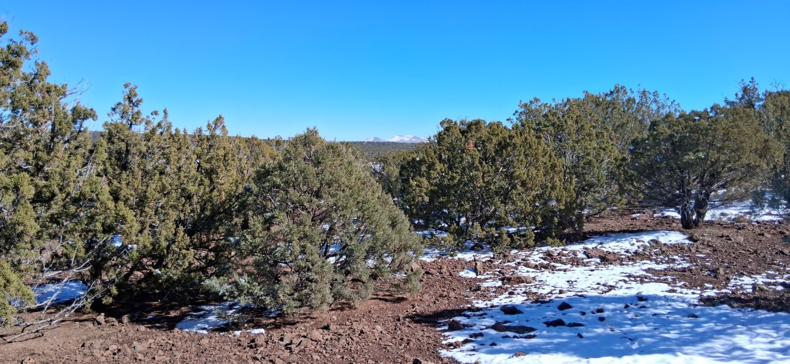 107-10-060 North view