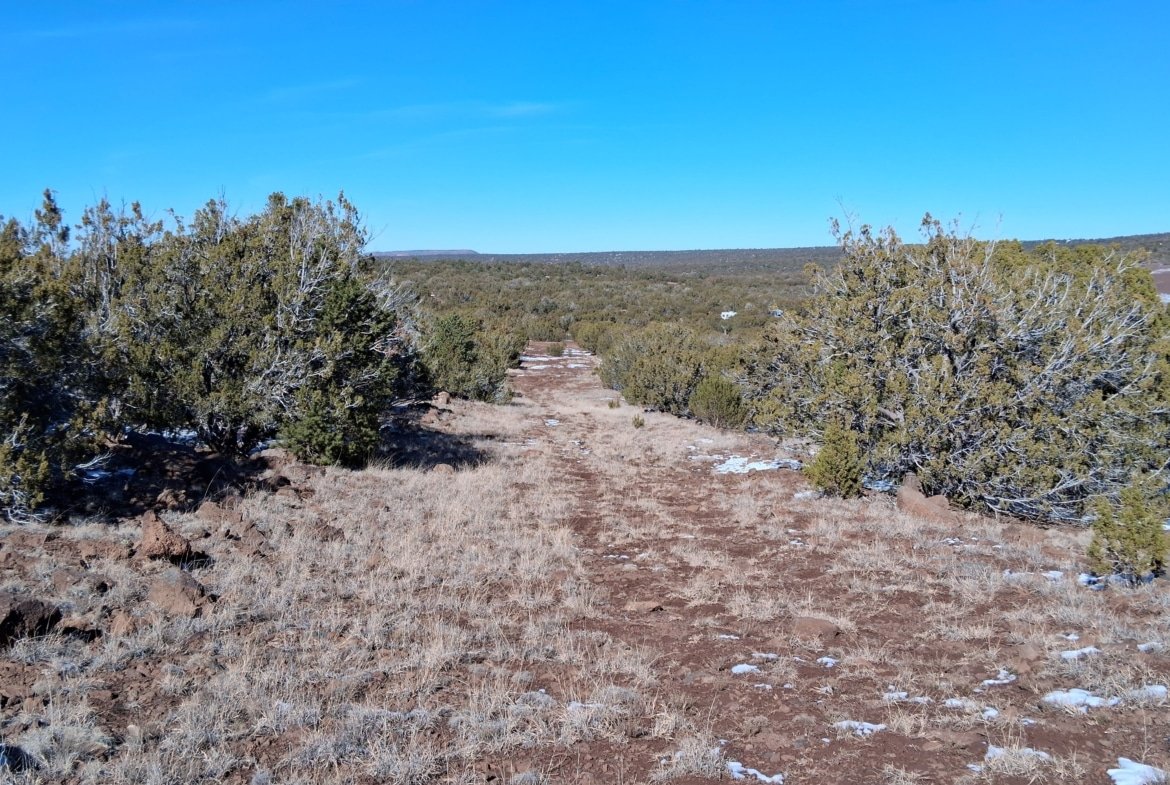 1.15 Acres of Land, Power, Trees and Views! Show Low Pines Subdivision