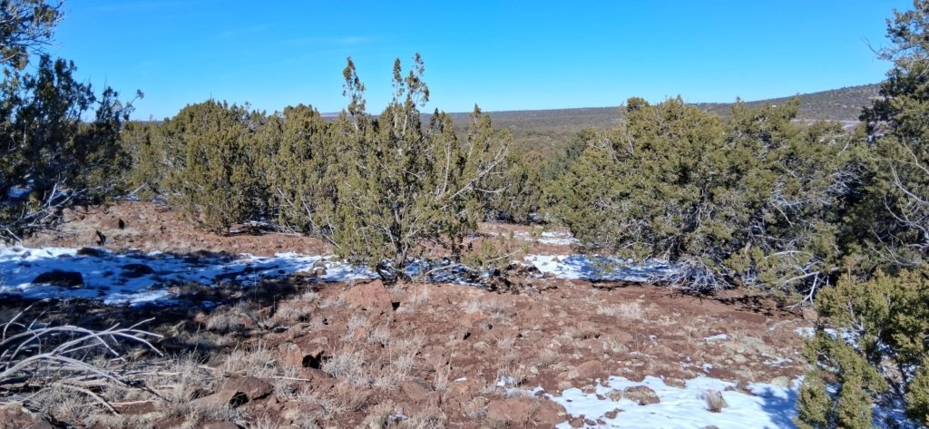 Mountainous 1.15 acre parcel in Show Low Pines, Concho, Arizona