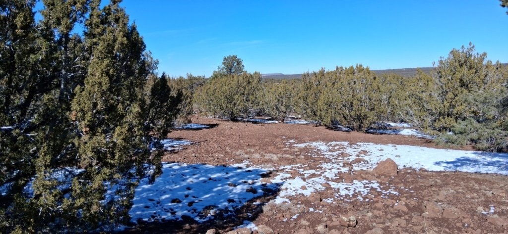 Owner-financed 1.15 acre lot with power in Concho, Arizona