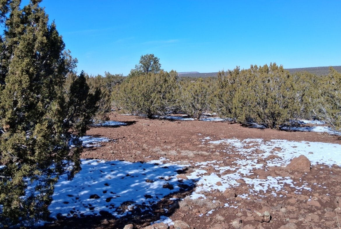 1.15 Acres of Land, Power, Trees and Views! Show Low Pines Subdivision