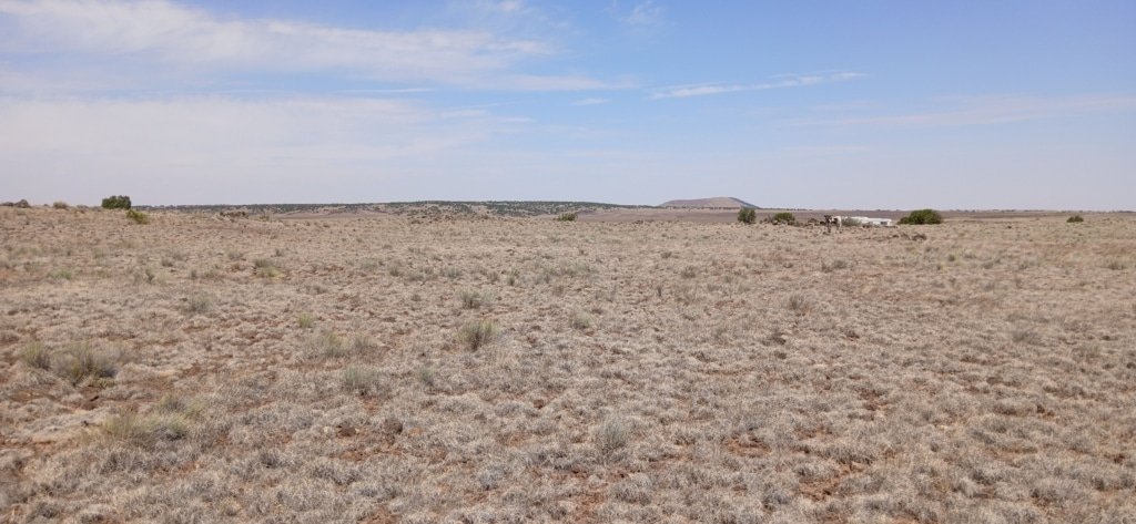 Buildable 1 acre lot in Concho AZ with mountain views - photo 2
