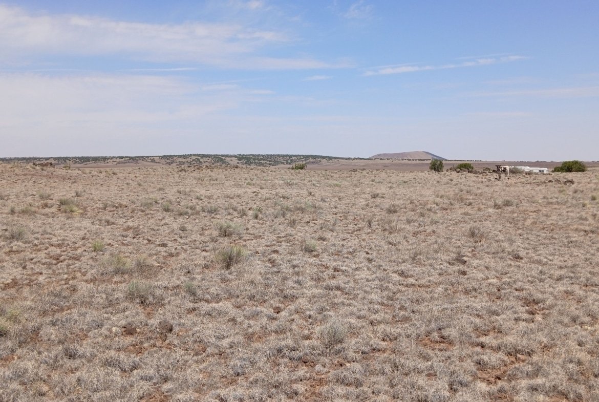 1 Acre Land, Concho AZ, Off-Grid, RV Friendly