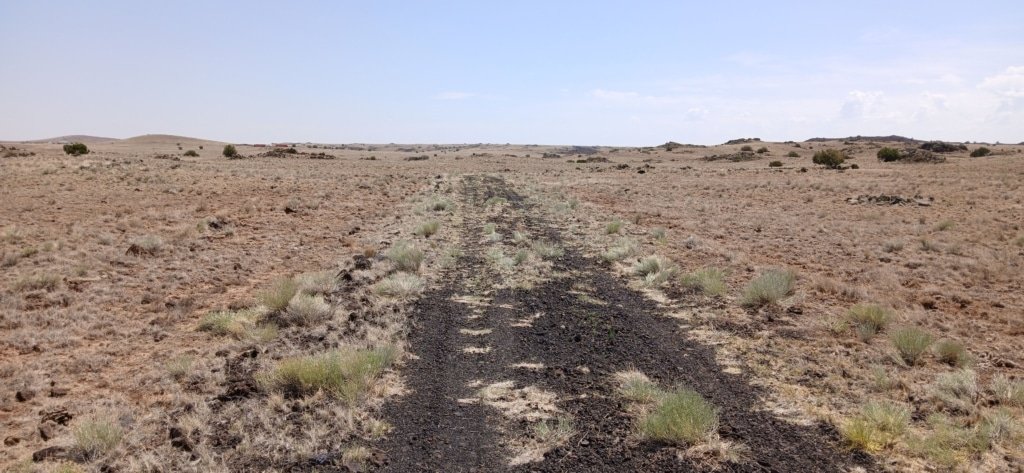 1 Acre of Land for Sale in Concho Arizona that's perfect for camping, is RV friendly, or the site of your cabin.